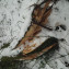 PHOTO-2021-02-19-13-53-04 (8)